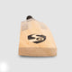 SG HP Spark Kashmir Willow Cricket Bat, angled view