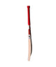 Stanford SF Incredible 12000 English Willow Cricket Bat, edge view