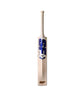 SF PA 18 Priyansh Arya English Willow Cricket Bat front