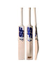 SF PA 18 Priyansh Arya English Willow Cricket Bat edge profile