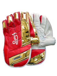 Wicket Keeping Gloves