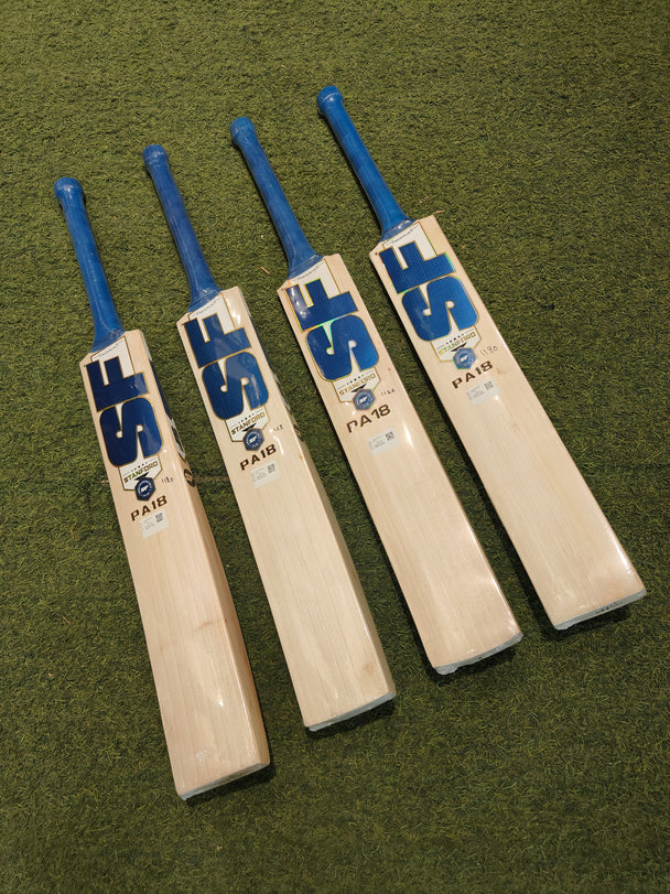 Sf Bat Stanford SF Cricket Bats Online | Crickstore